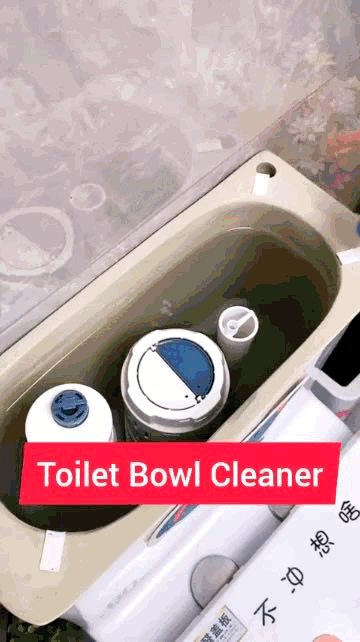 Toilet Cleaner Tablets Pack of 1 (10 PC)